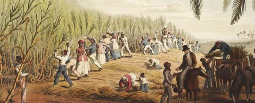 Transatlantic slave trade illustration